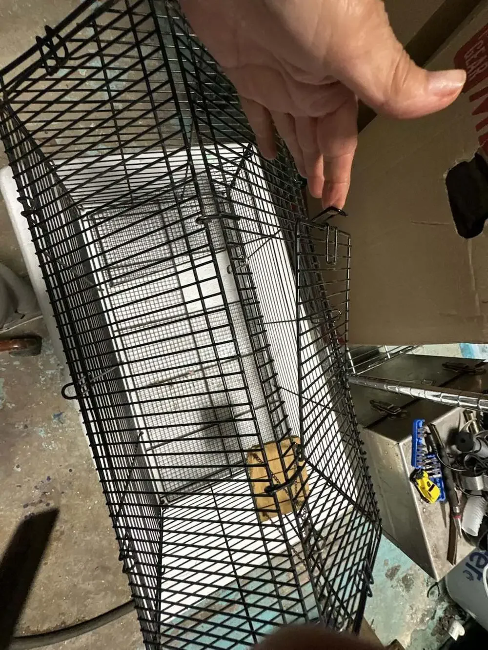 Small Animal Wire Cage with Hanging Platform 19x10x12